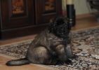 dsc_1240-kopie