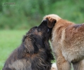 dsc_9109-kopie