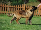 dsc_0227-kopie