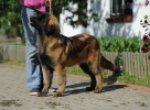 dsc_0295-kopie