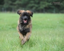 dsc_0825-kopie