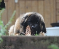 dsc_3834-kopie