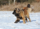 dsc_9014-kopie