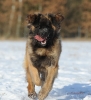 dsc_9116-kopie
