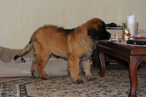 DSC_2057 Kopie