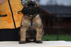 DSC_8228 Kopie